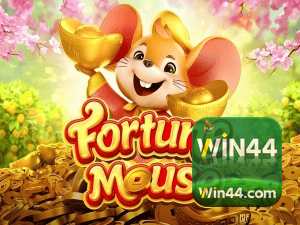 WIN44 login — configurações de segurança e proteção de conta
